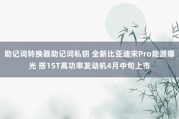 助记词转换器助记词私钥 全新比亚迪宋Pro能源曝光 搭15T高功率发动机4月中旬上市