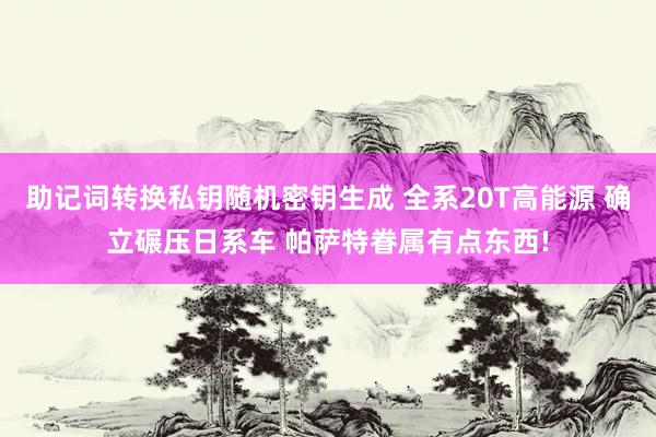 助记词转换私钥随机密钥生成 全系20T高能源 确立碾压日系车 帕萨特眷属有点东西!